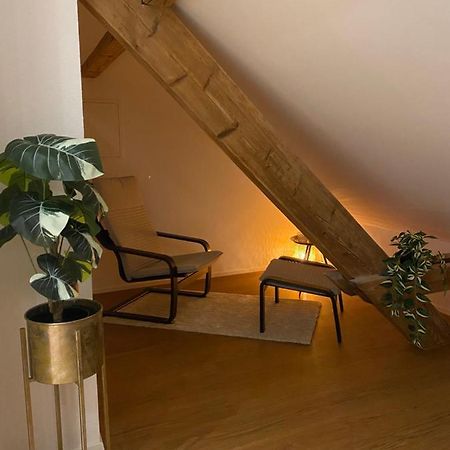 Eine Schoene Wohnung An Der Birs Basel Exterior foto