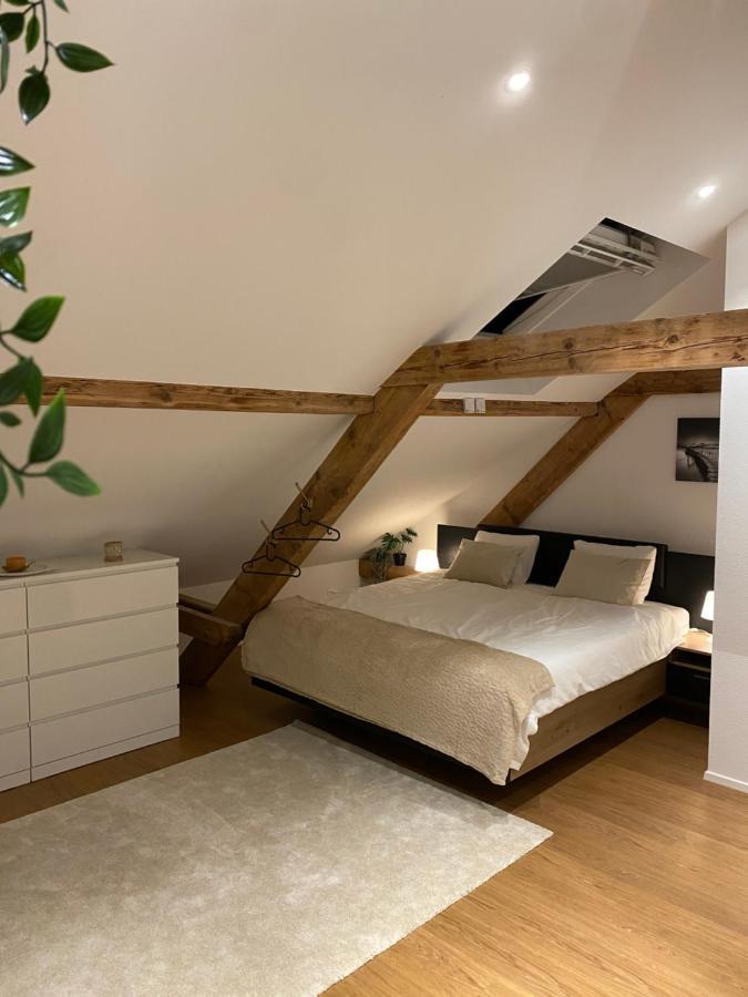 Eine Schoene Wohnung An Der Birs Basel Exterior foto